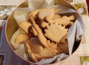 biscotti di farro