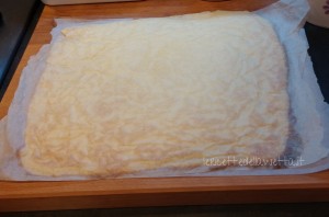 prep rotolo more 6