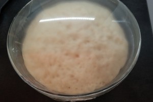 prep_brioches_nut_6