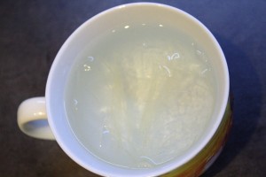 panna cotta 1